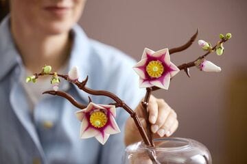 LEGO® Magnolia Branches