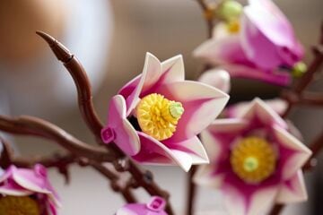 LEGO® Magnolia Branches