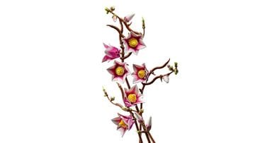 LEGO® Magnolia Branches