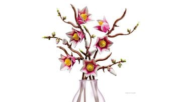 LEGO® Magnolia Branches