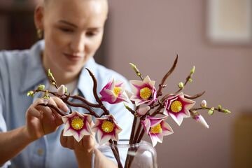 LEGO® Magnolia Branches