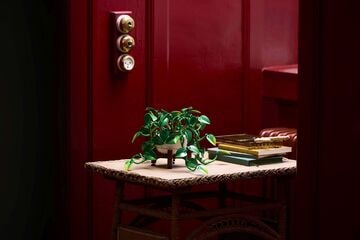 LEGO® Hanging Golden Pothos