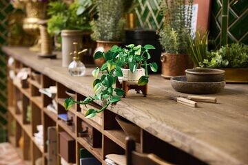 LEGO® Hanging Golden Pothos