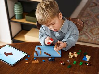 LEGO® The Pirate Ship Voyage