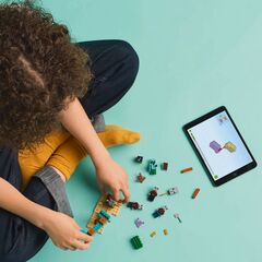 LEGO® The Illager Desert Patrol