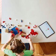 LEGO® The Mooshroom House