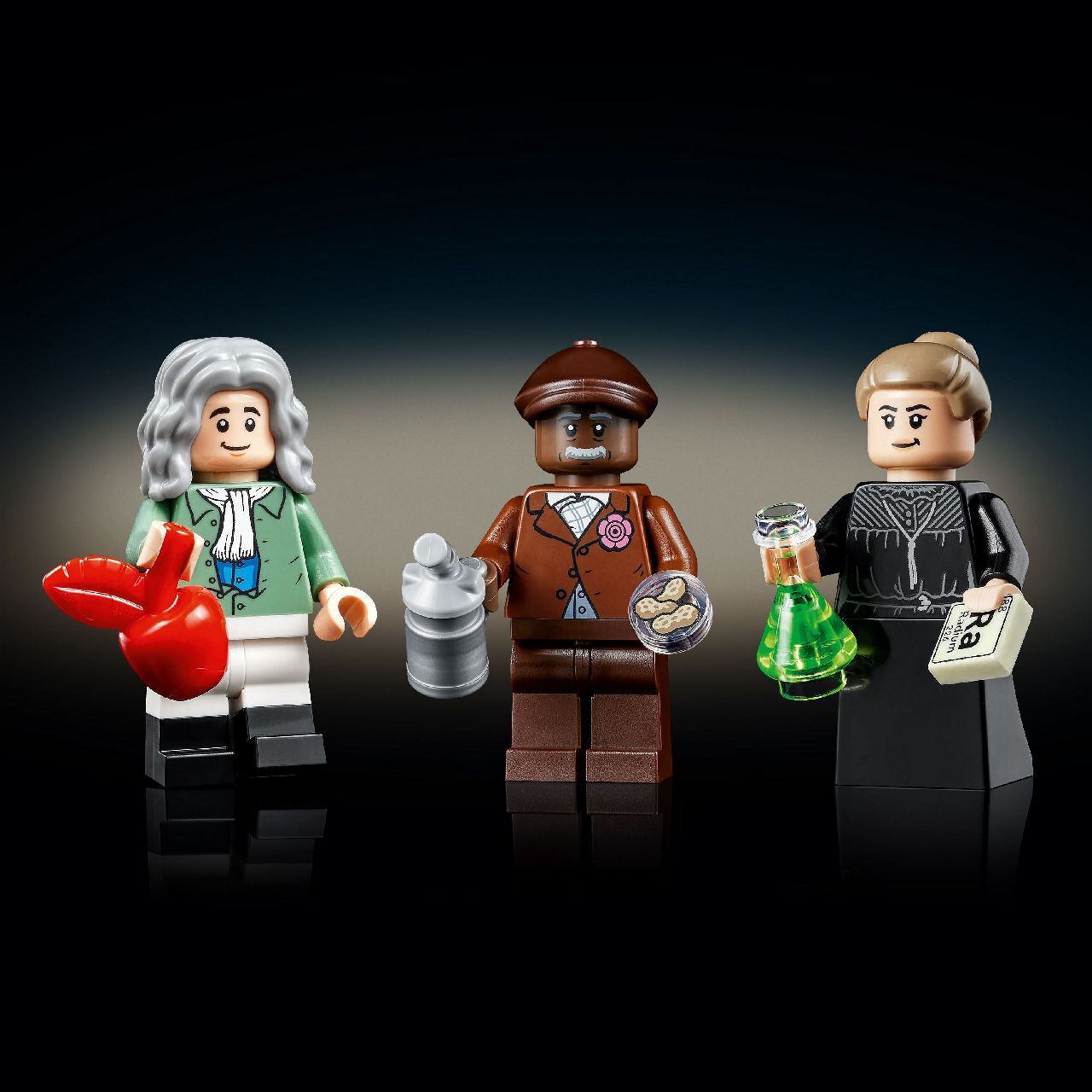 LEGO® The Evolution of STEM