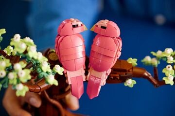 LEGO® Love Birds