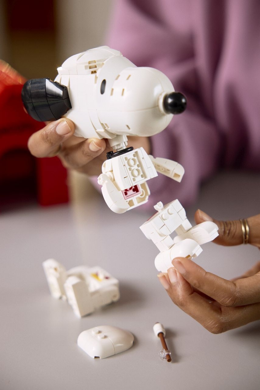 LEGO® Peanuts: Snoopy's Doghouse