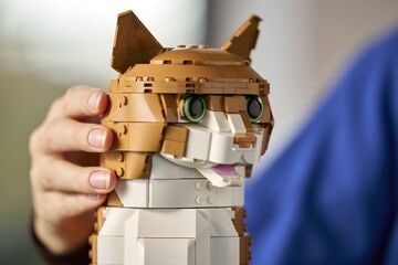 LEGO® Orange Cat
