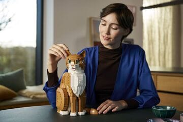 LEGO® Orange Cat