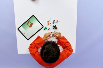 LEGO® Steve's Taiga Adventure