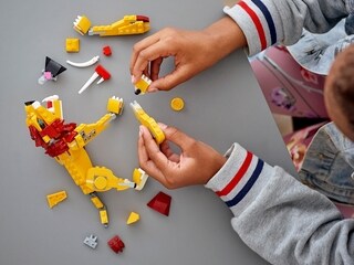 LEGO® Creator 3in1 Wild Lion