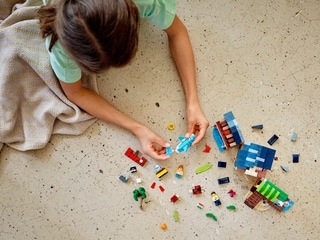 LEGO® Creator 3in1 Surfer Beach House