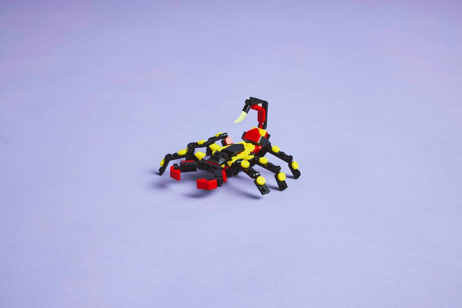 LEGO® Wild Animals: Surprising Spider