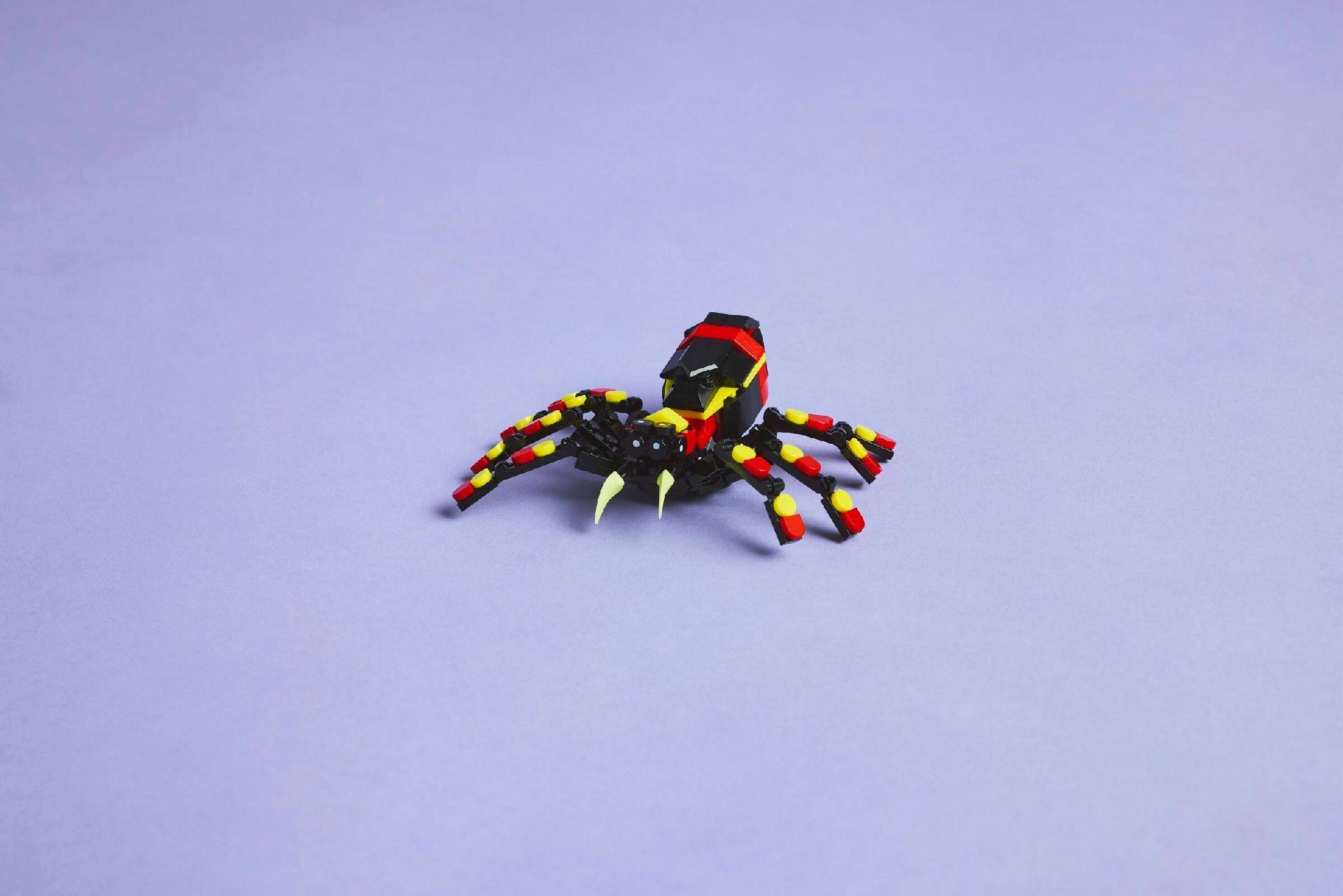 LEGO® Wild Animals: Surprising Spider