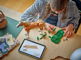 LEGO® Beautiful Horse