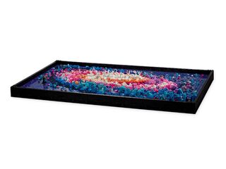 LEGO®The Milky Way Galaxy