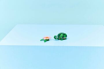 LEGO® Turtle with a Water Lily Flower