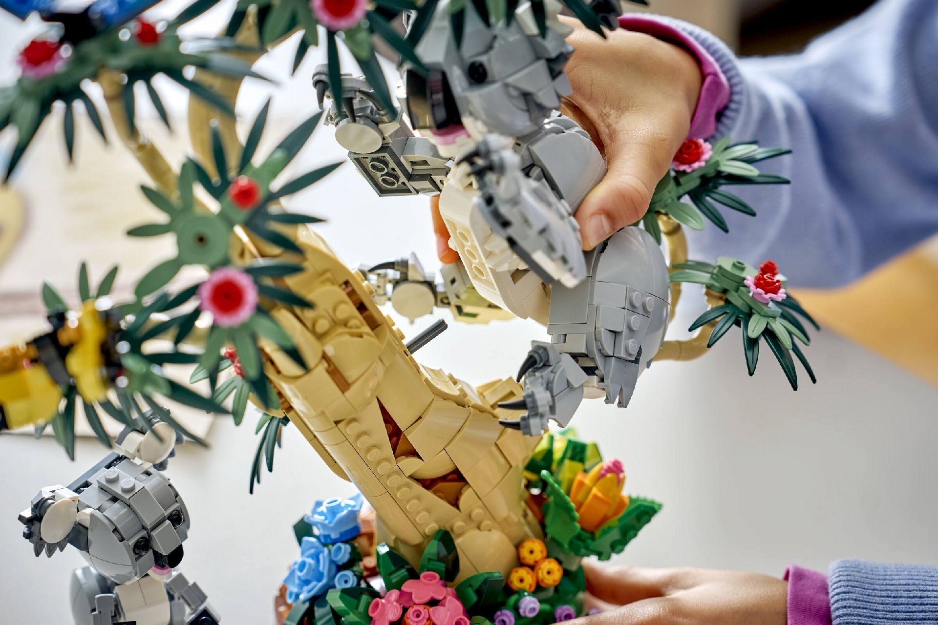 LEGO® Wild Animals: Family of Koalas