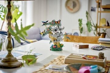 LEGO® Wild Animals: Family of Koalas