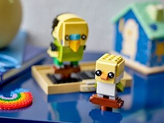 LEGO® Budgie