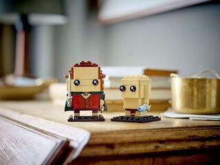 LEGO® Frodo™ & Gollum™