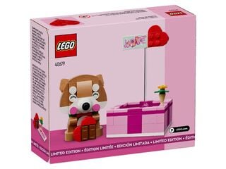 LEGO® Love Gift Box