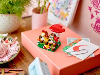 LEGO® Hedgehog Picnic Date