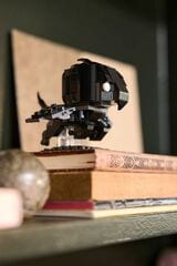 LEGO® Luna Lovegood™ & Thestral Figures