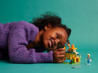 LEGO® Cat Playground Adventure