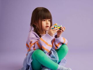 مجموعة بناء سيارة العناية بالكلاب من LEGO®