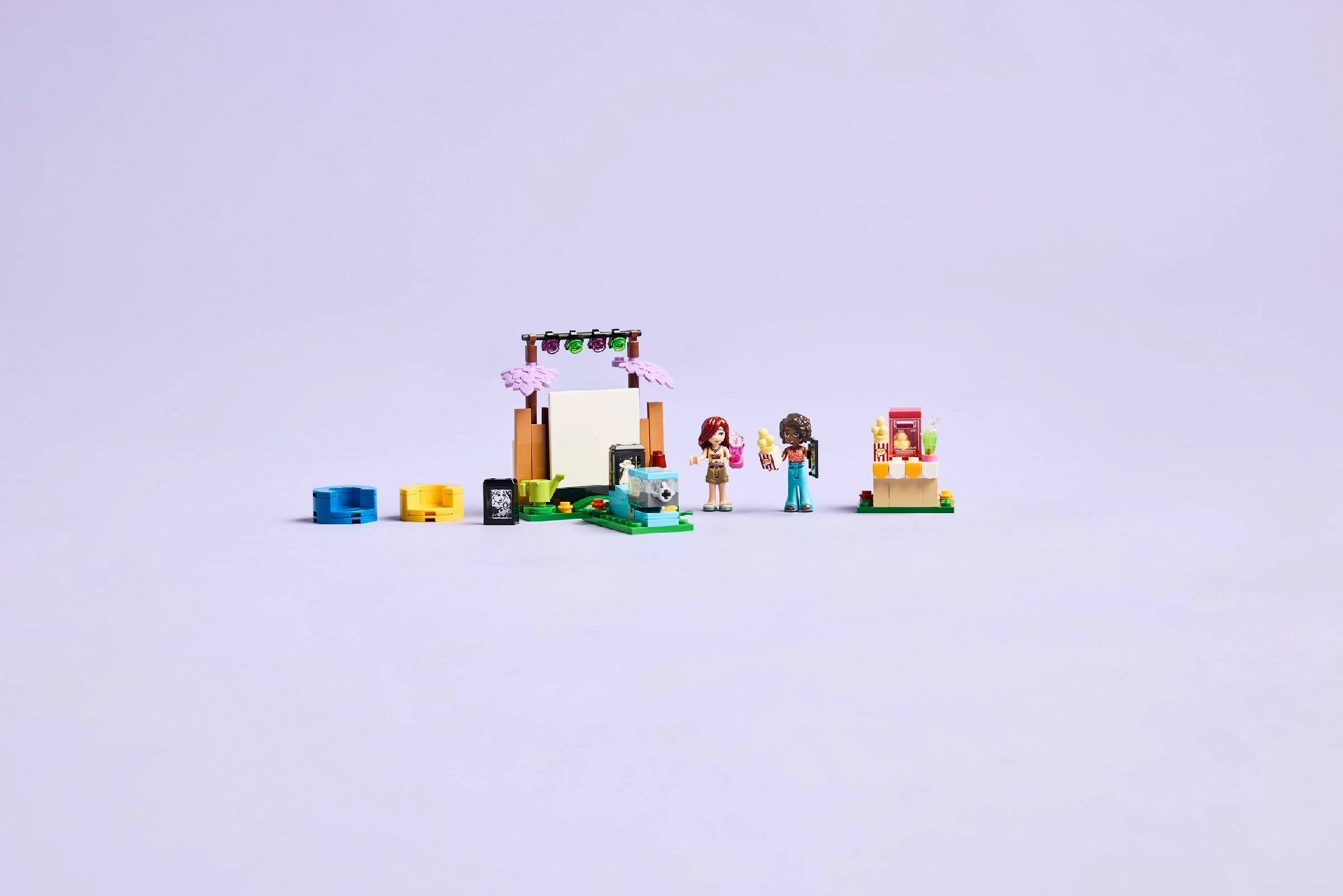 LEGO® Friendship Movie Night