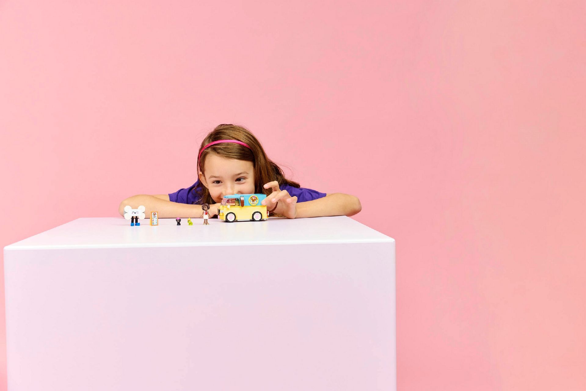 LEGO® Pet Accessories Van