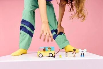 LEGO® Pet Accessories Van