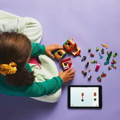 LEGO® Encanto Mini House