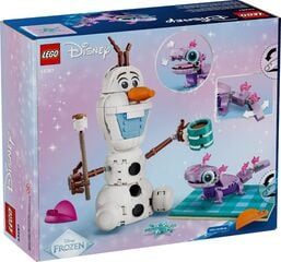LEGO® Olaf and Bruni’s Picnic Fun