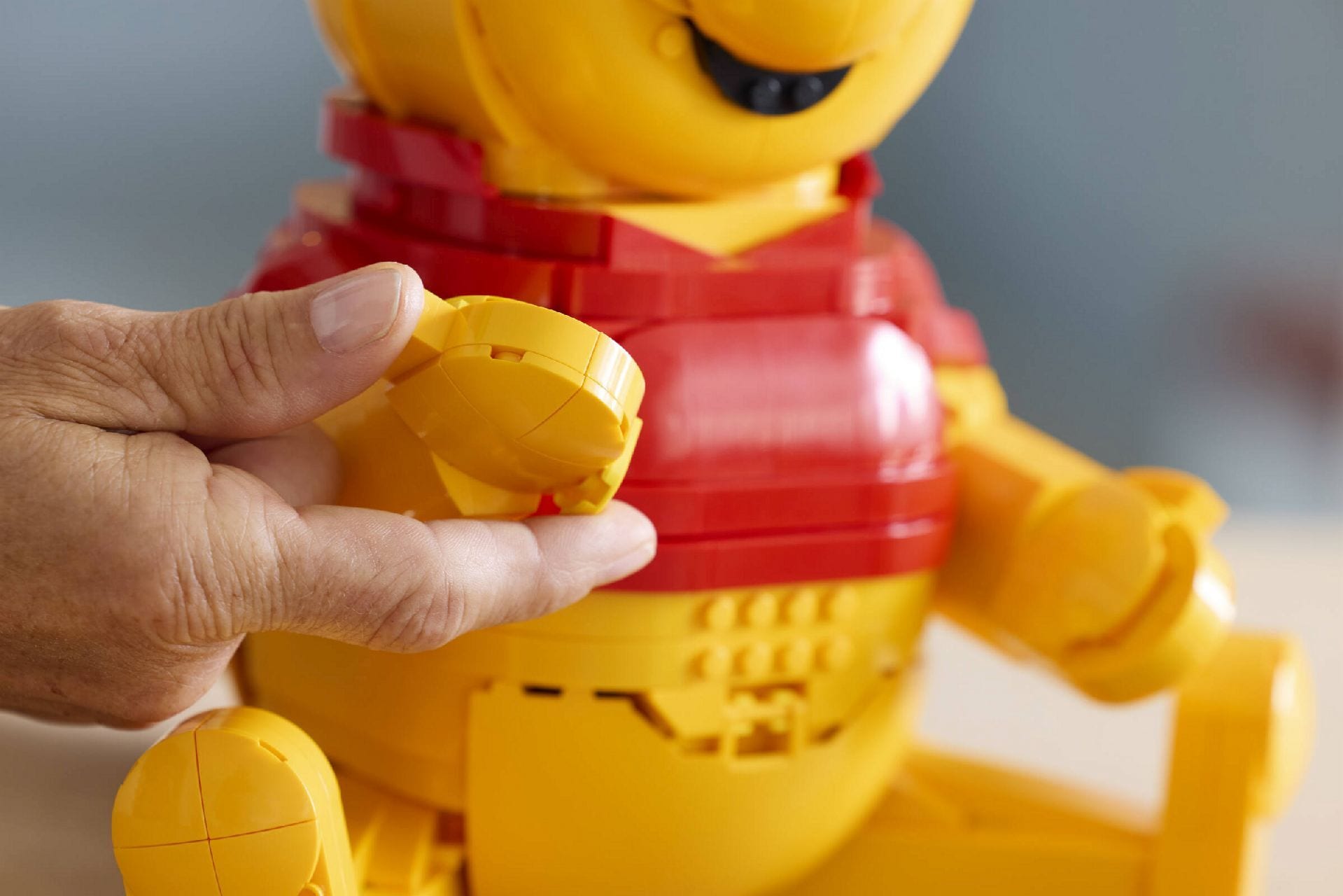 LEGO® Winnie the Pooh