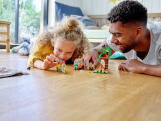 مجموعة بناء بيكنيك إن ذا بارك من ليغو®