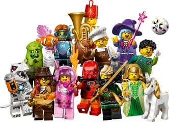 LEGO® Series 29