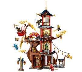 تيمبل أوف ذا دراجون إنيرجي كورز من ليغو