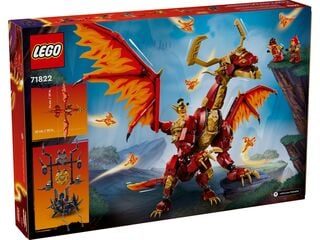 LEGO® Source Dragon of Motion