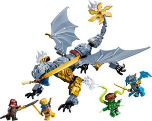 LEGO® Ninja Dragon Riyu's Battle