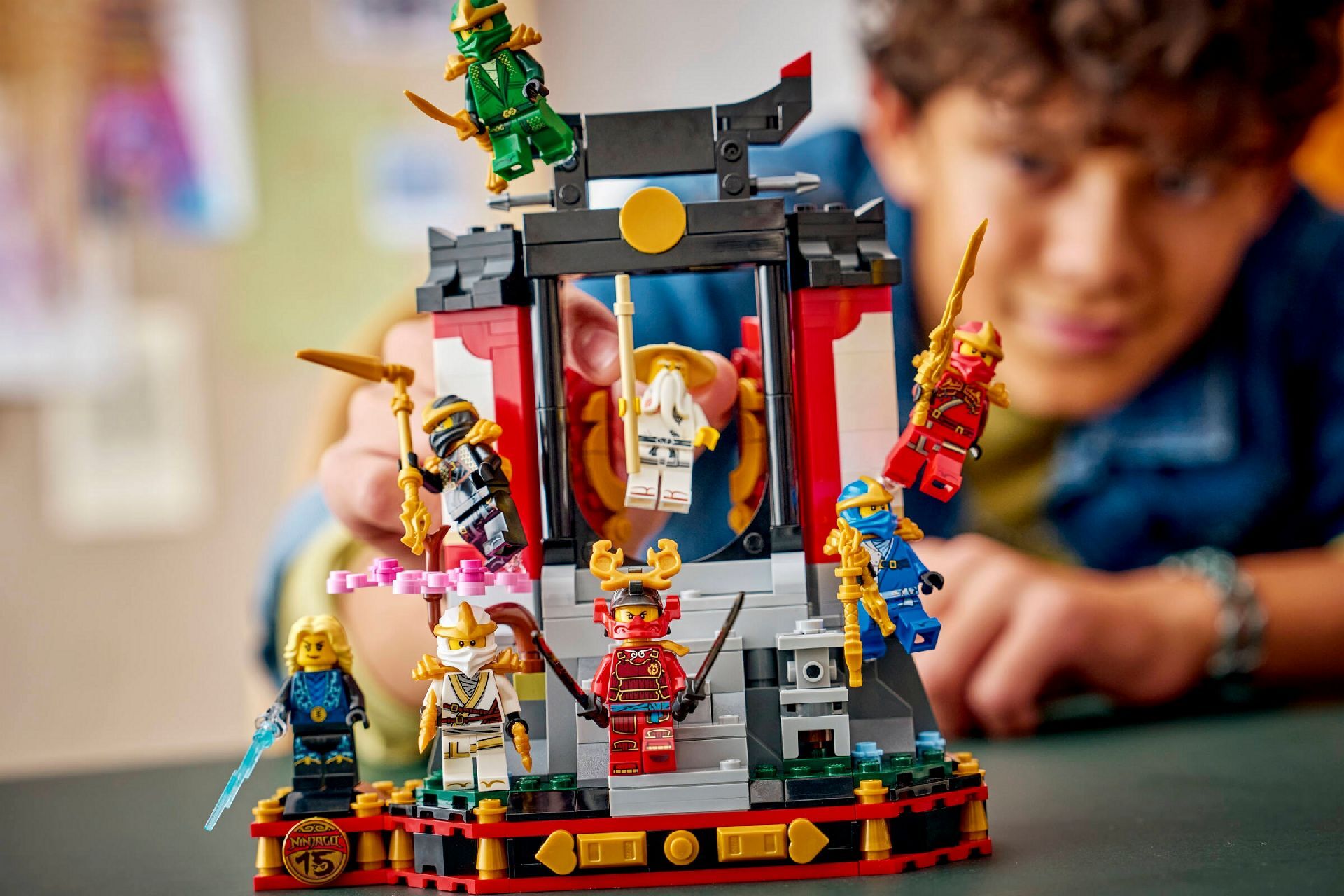 LEGO® Ninja Character Display 15th Anniversary
