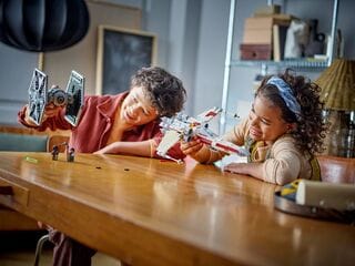 LEGO® TIE Fighter & X-Wing Mash-up