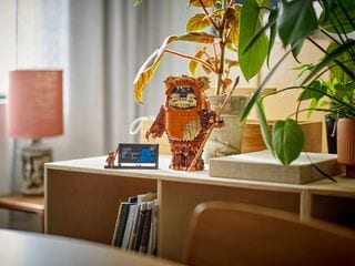 LEGO® Wicket the Ewok™