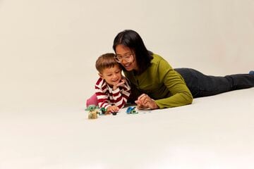 LEGO® Grogu's Homestead