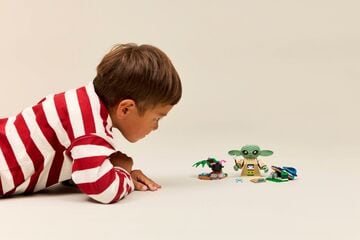 LEGO® Grogu's Homestead