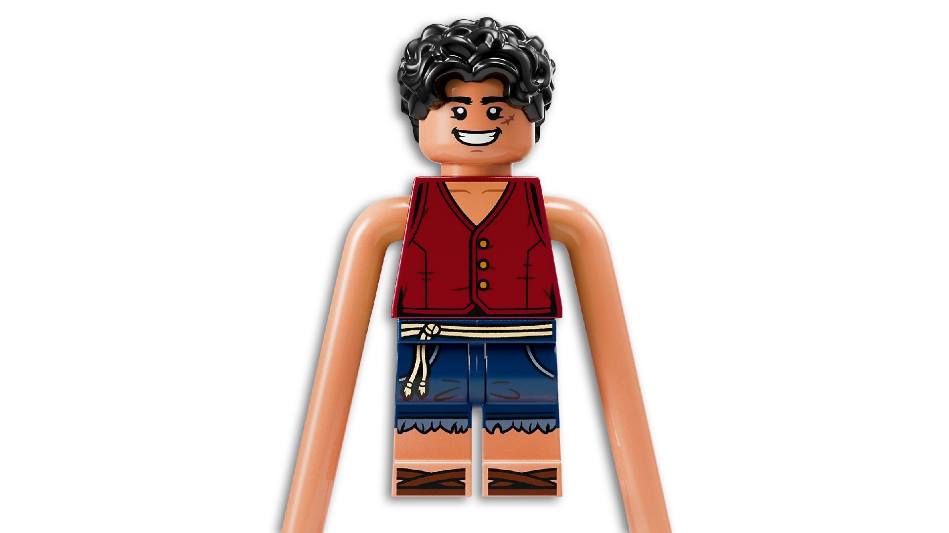 LEGO® Battle at Arlong Park