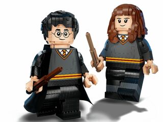 LEGO® Harry Potter & Hermione Granger™